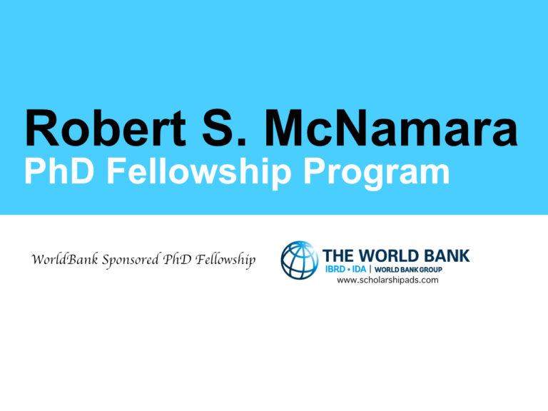 Robert S McNamara PhD Fellowships