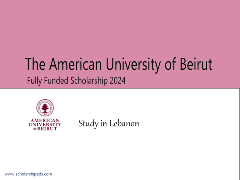 The American University of Beirut Scholarship 2024