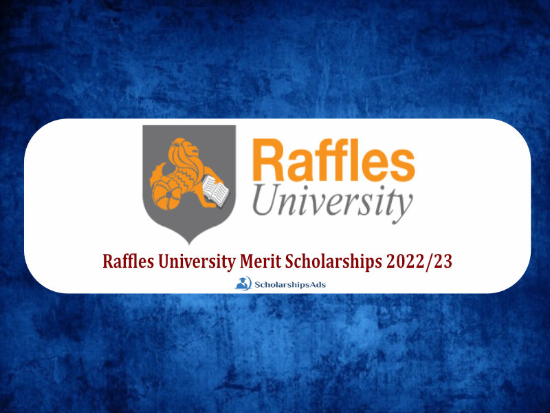 Raffles University Merit Scholarships 202223