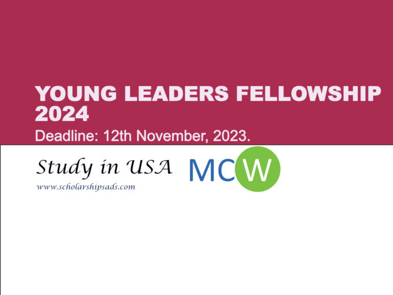 Young Leaders Fellowship