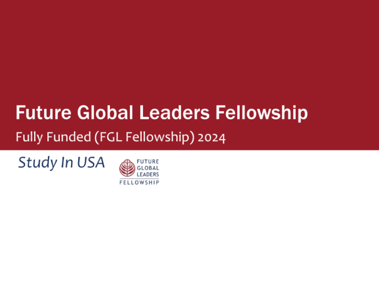 Future Global Leaders Fellowship