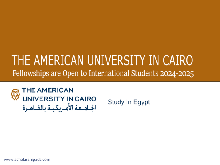 The American University in Cairo Fellowships 2024