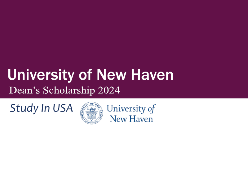University Of New Haven Scholarship 2024 USA